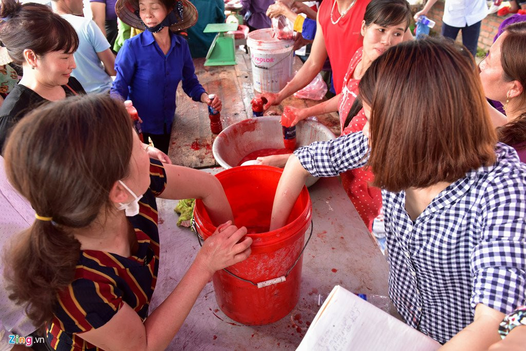 Mo cua mien phi, hoi choi trau Hai Luu 'vo tran' hinh anh 13