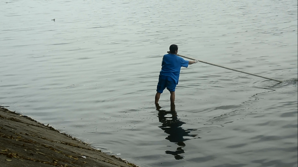 29634528_1286419624794564_748267858_o 3