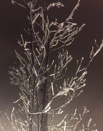 bang2-7141-1523036597