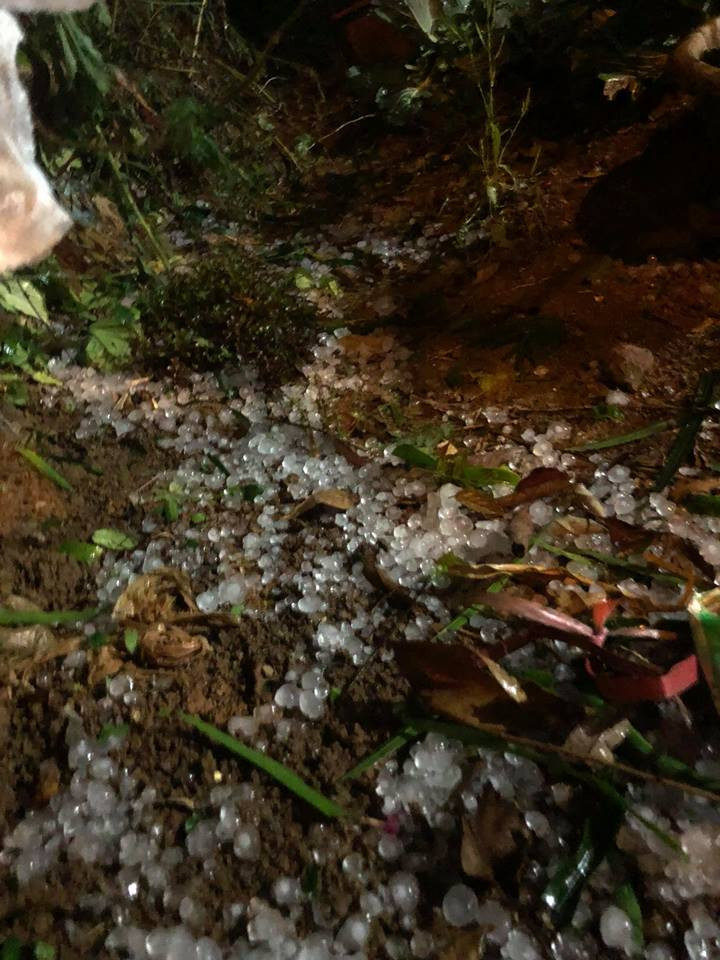 29261101_1912762415424172_7003631955010912256_n