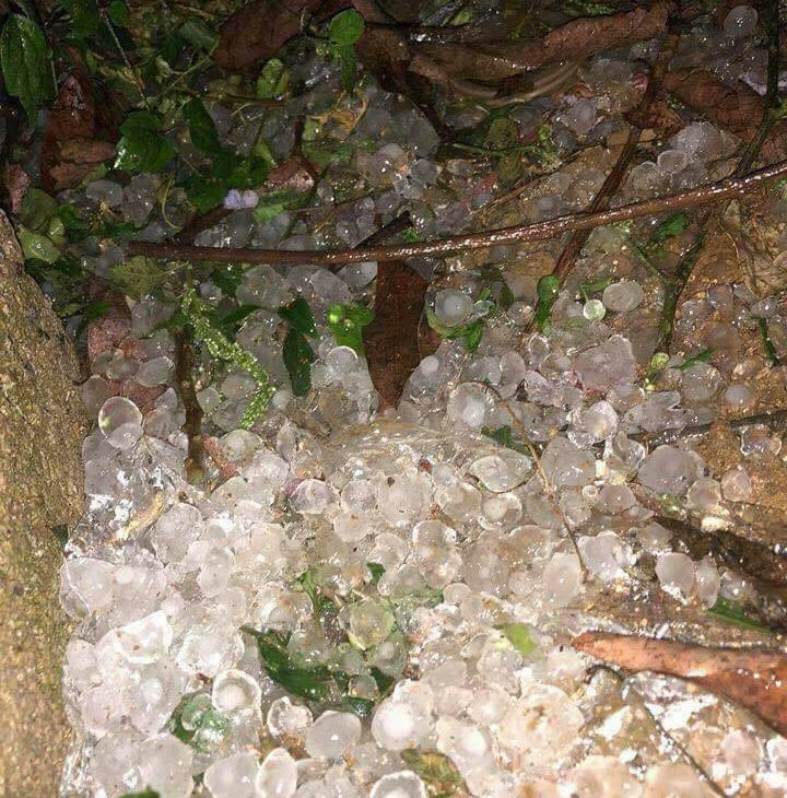 29342598_1912762438757503_870497584936910848_n 11