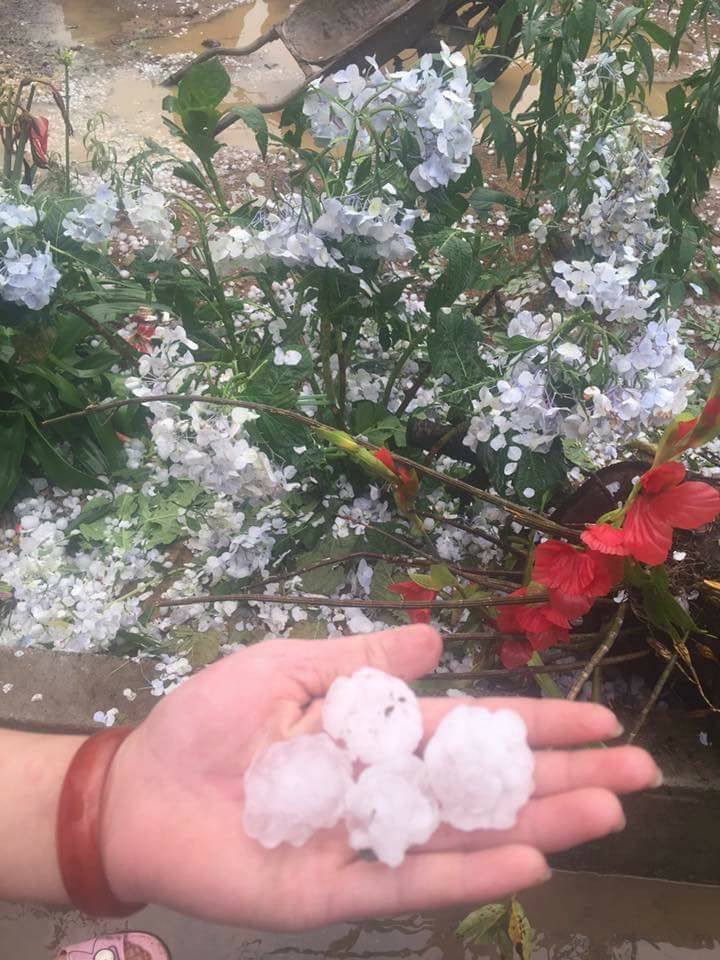 30708664_2065487533466162_6810604867619389440_n 5