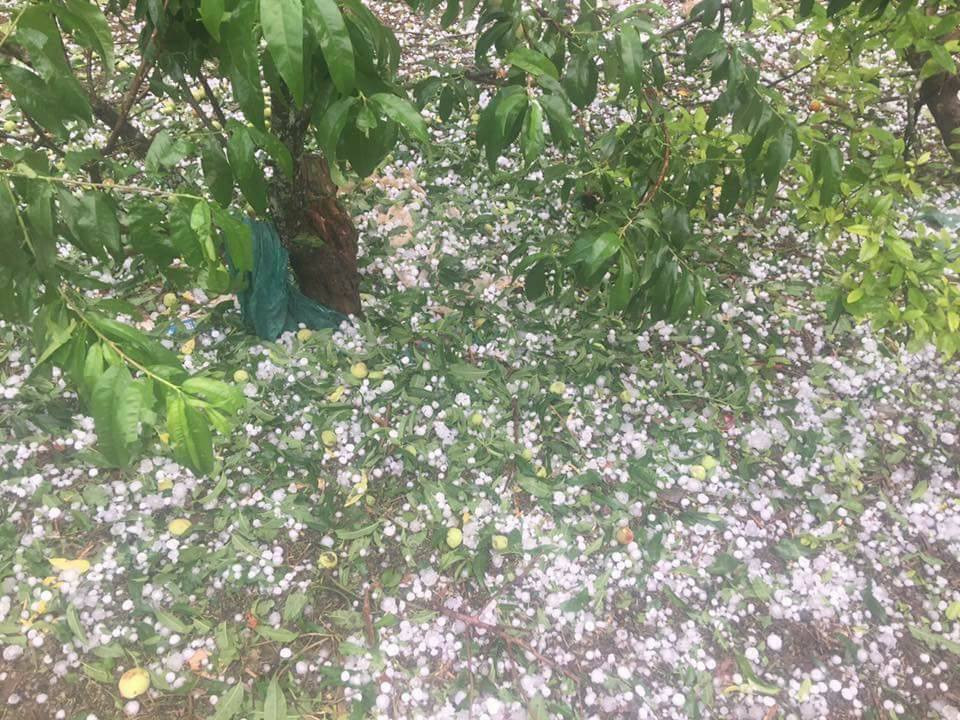 30710446_2065487646799484_5925782557433004032_n 6