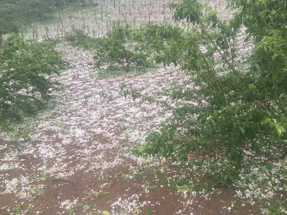 30716053_2065487600132822_4189081882408779776_n 8