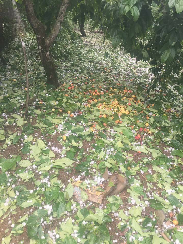 30725480_2065487750132807_3664180107959861248_n 8