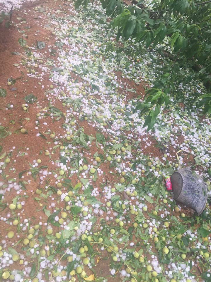 30740925_2065487803466135_7855943467300552704_n 9