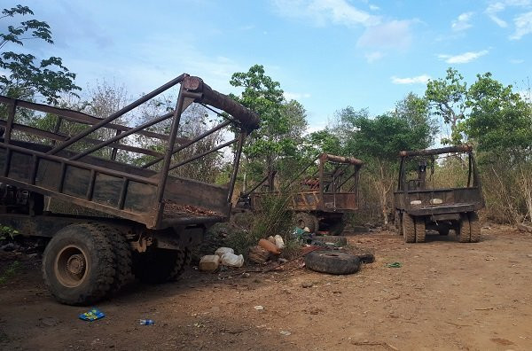 Gỗ lậu,Phượng râu,VQG Yok Đôn,Cục Kiểm lâm,Bộ Công an,Đắk Lắk,Đắk Nông