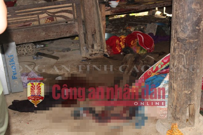 1feee993-0d31-49ff-b813-3c824ab70e8f-1730302