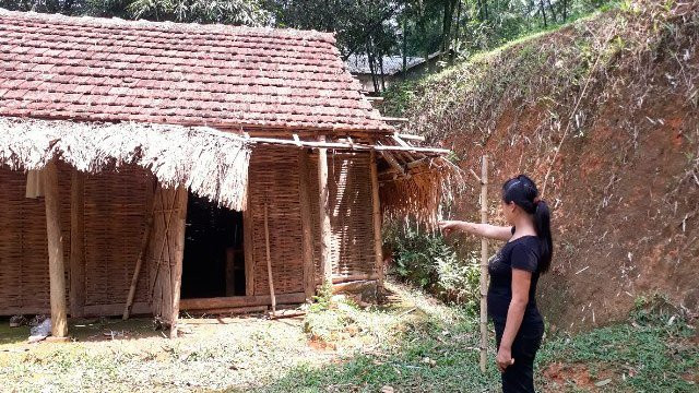 hiếp dâm,lạm dụng tình dục,Thanh Hóa,hiếp dâm bé gái,hiếp dâm trẻ em