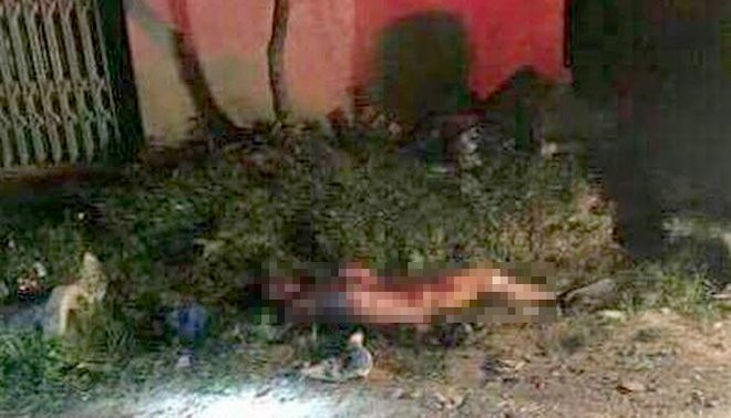 d77bef34-5590-4556-9f28-5f4273c539d9