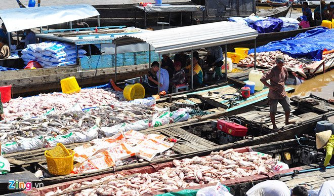 Nuoc khu vuc 1.500 tan ca chet o Dong Nai co khi doc vuot muc hinh anh 2