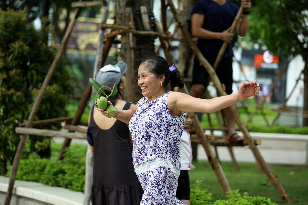 hoa quả Việt,đặc sản Việt,xoài,Hà Nội