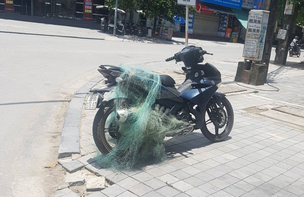 35646167_2053240971414188_2931691268331274240_n