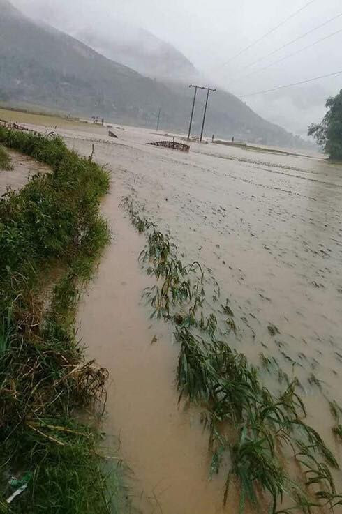 36002573_2061714284088304_5258877829759631360_n 10