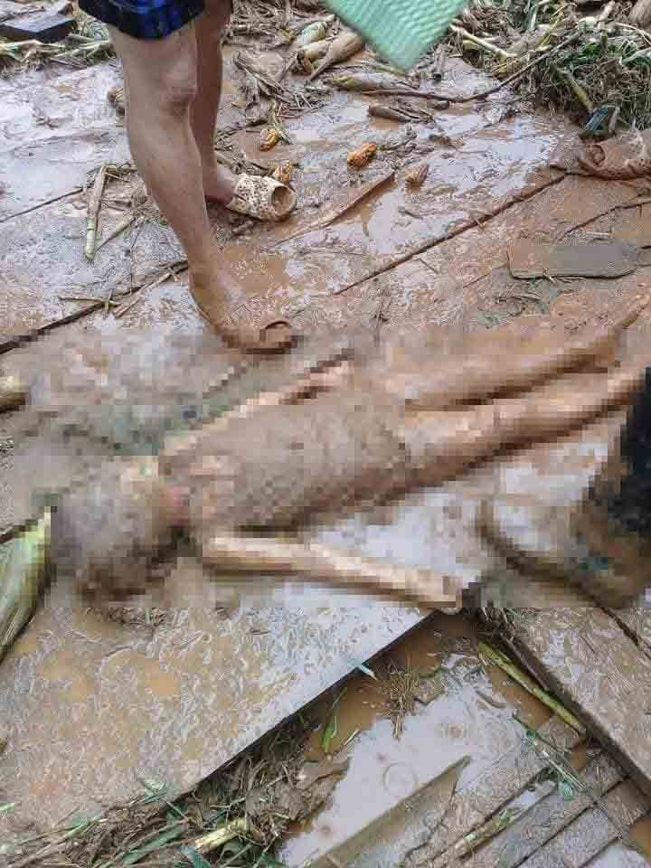 36028212_1321272534669449_6964289470464000_n 21