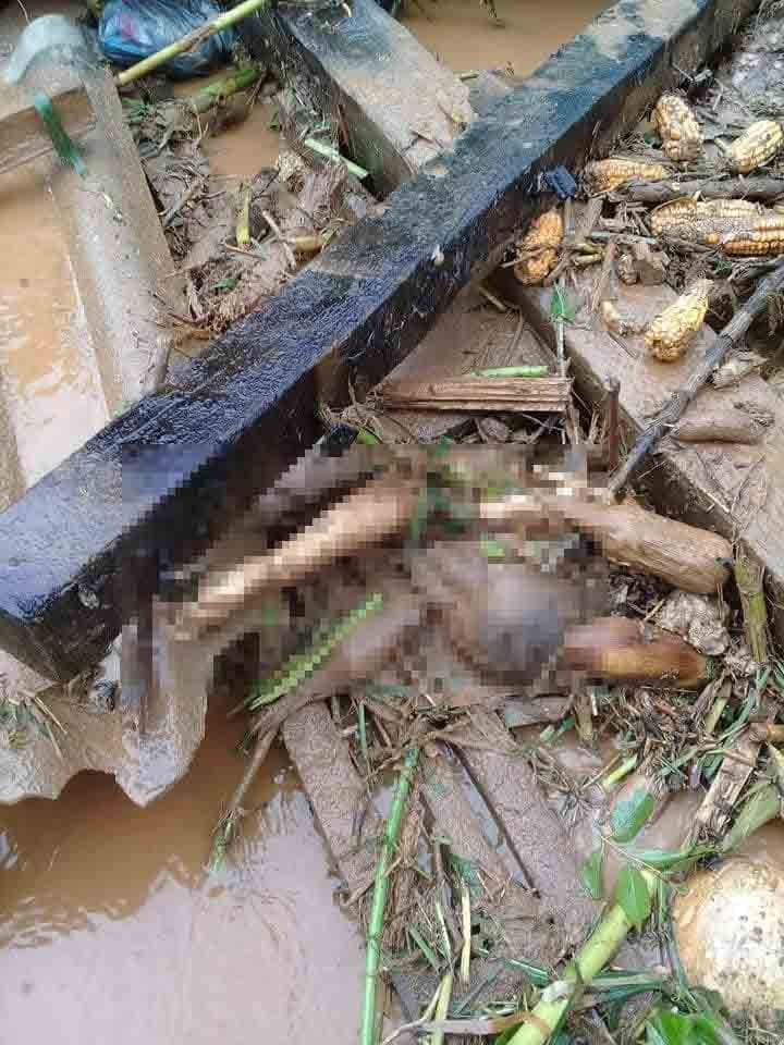 36237074_1321272671336102_7833591976455831552_n 24