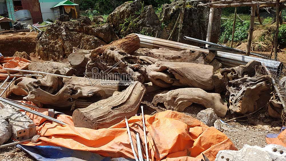 Ma túy,buôn bán ma túy,tàng trữ ma túy,chất kích thích,Sơn La