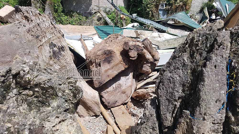 Ma túy,buôn bán ma túy,tàng trữ ma túy,chất kích thích,Sơn La