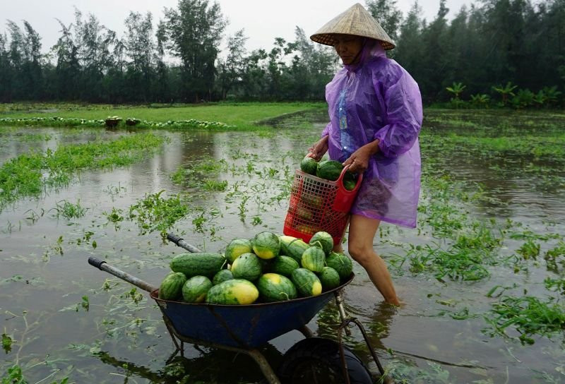 37259786_2215977325084157_7875164614181257216_n