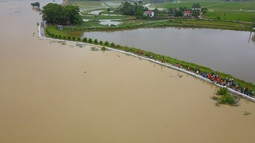 DJI-0067-JPG-8261-1533039692