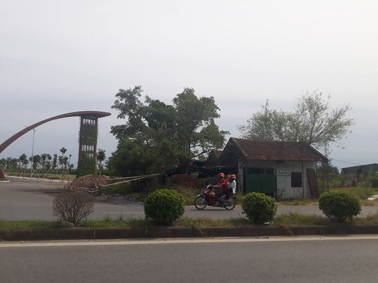 Một phụ nữ kiện Chủ tịch tỉnh Nghệ An ra tòa - Ảnh 2.