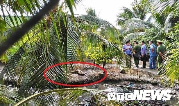 39003874_1274406702700278_5762105240727846912_n-6-11011310 5