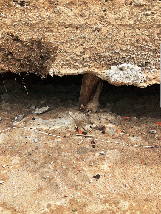 Đường kè sông Tiền ở Tiền Giang bị sụt lún ? - Ảnh 3.