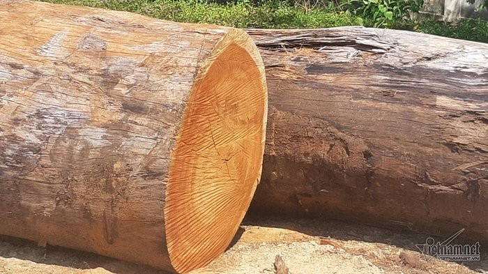 biệt phủ,Đà Nẵng,biệt phủ trái phép