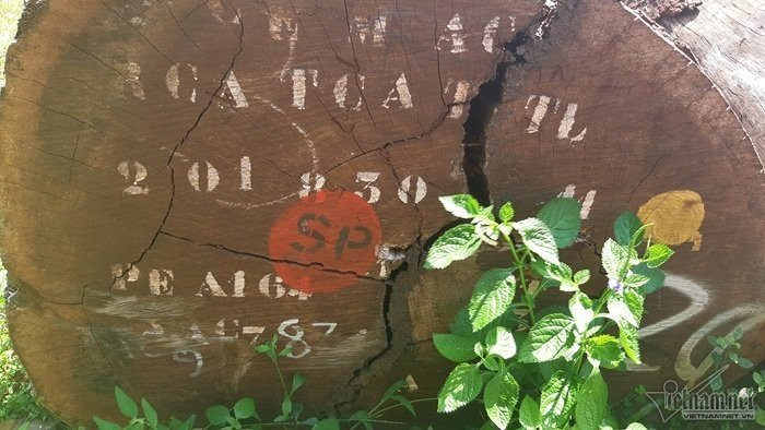 biệt phủ,Đà Nẵng,biệt phủ trái phép