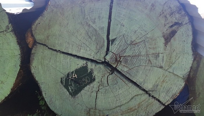 biệt phủ,Đà Nẵng,biệt phủ trái phép