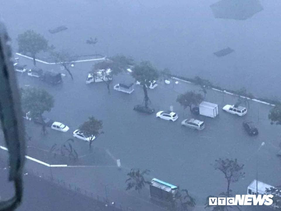 48082017_2234306270182388_4031003957517090816_n 13