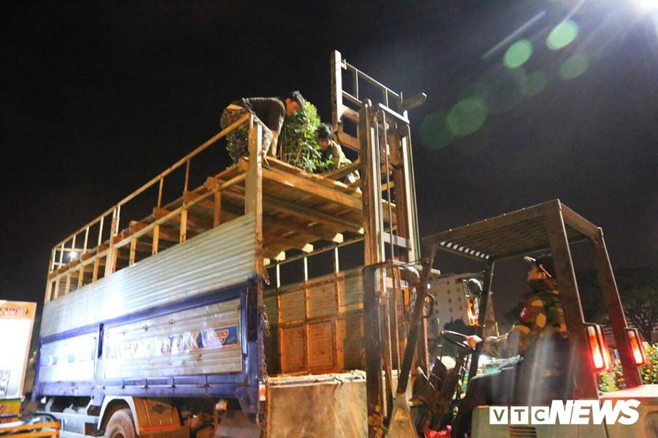 50804112_432885487274309_805307776749273088_n 8