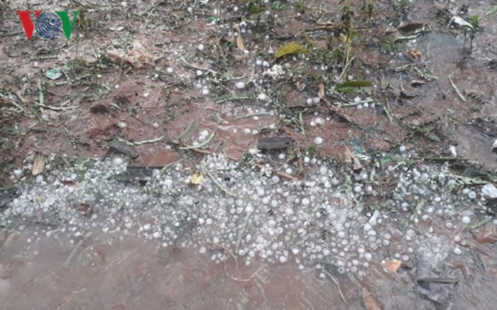 mua_da_vov_dien_bien_aojz