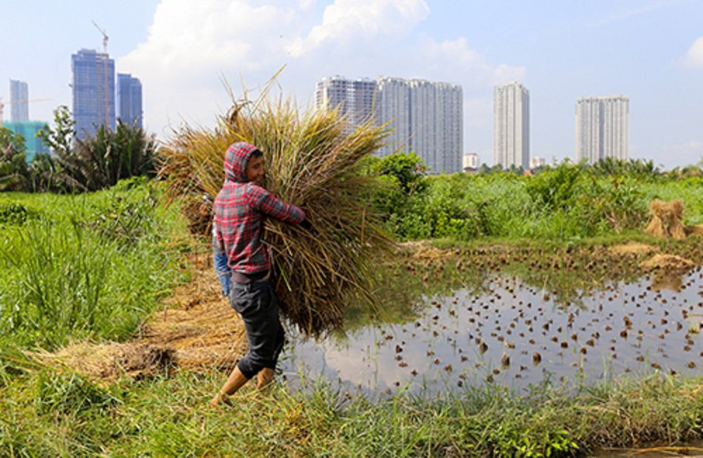 Bi-nh-Quo-i-Thanh-Da-8352-1552139238