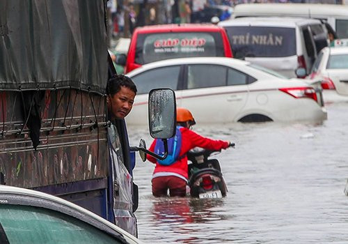 bao-usagi-4608-1552788928