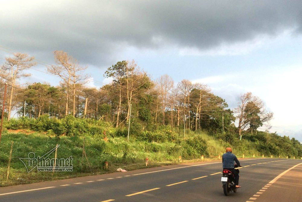 cap-dat-trai-quy-dinh