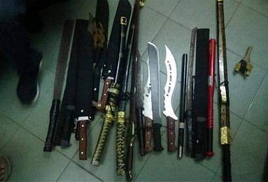 hon-chien-1-1628565 3