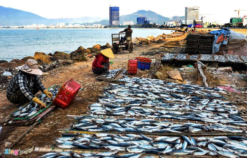 lan-bien-quy-nhon-4 5