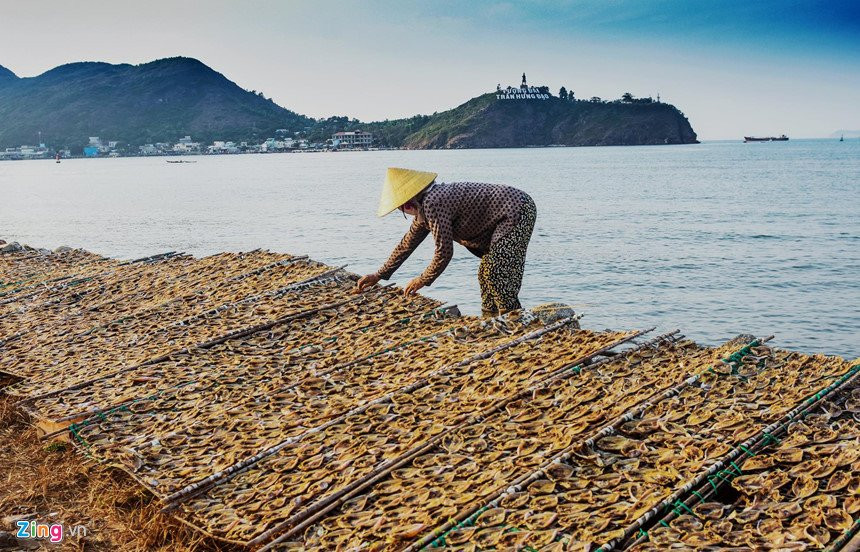 lan-bien-quy-nhon-5 5