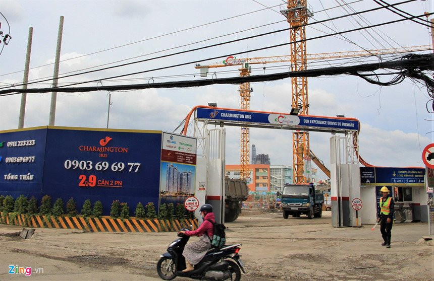 charmington_iris_zing