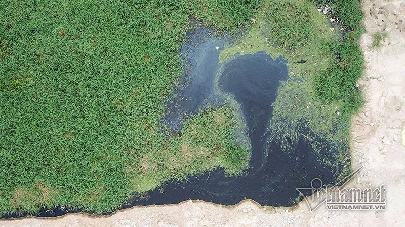 sau-la-nga-nhung-ho-nuoc-vo-chu-to-cao-ke-phat-tan-chat-thai-14 5