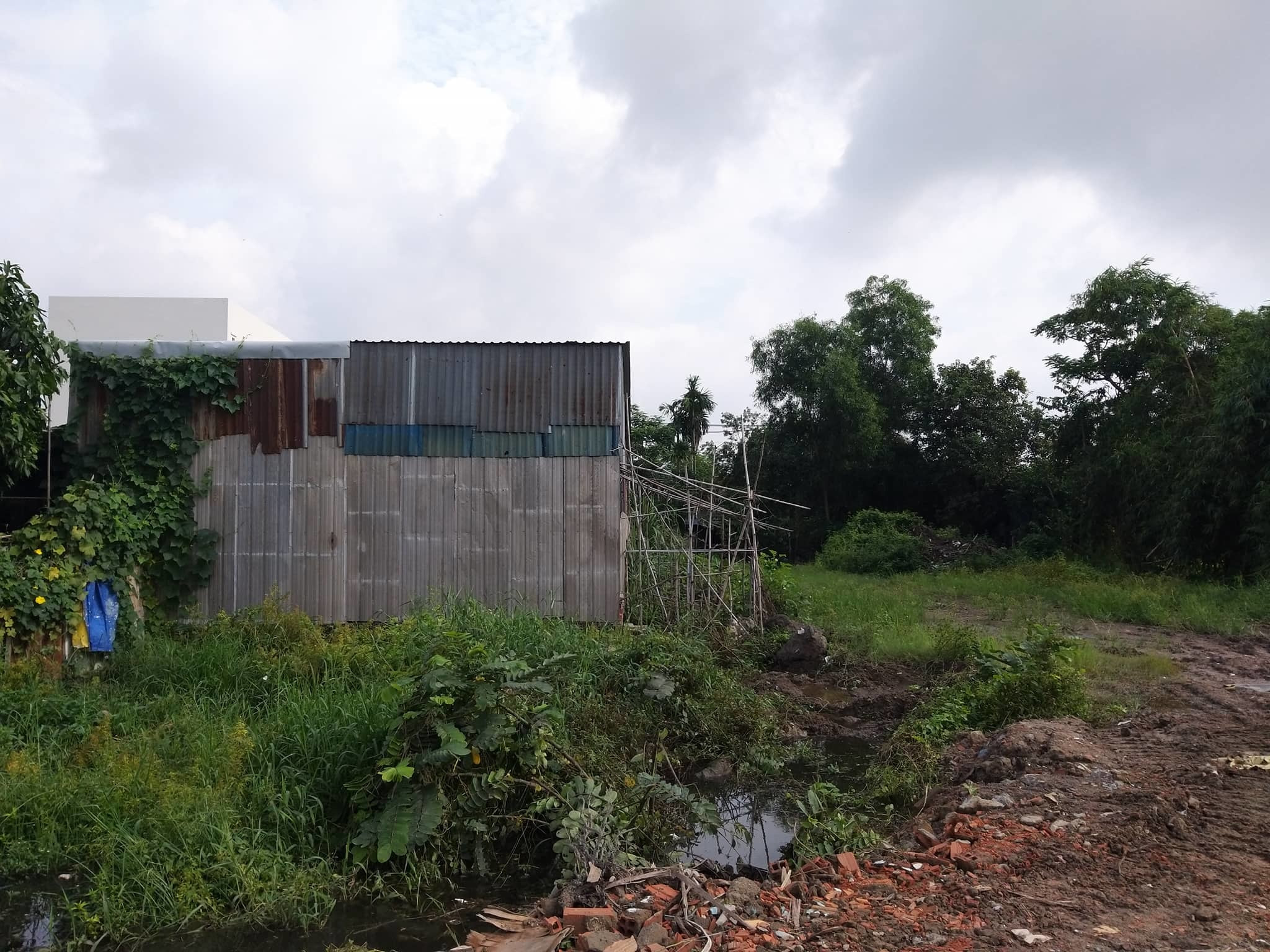 Hai bé trai bị điện giật chết ở Sài Gòn do đơn vị thi công cẩu thả