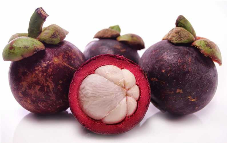 Tăng cường sinh lực: Trong phần ăn được của quả măng cụt rất giàu dưỡng chất như: chất đạm, chất béo, chất carbonhydrates, chất xơ, calsium, chất sắt, phốt pho,… và vitamin như B1, C.