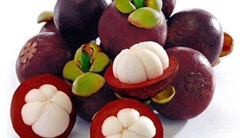 Chữa các bệnh ngoài da: Dùng nước măng cụt bôi ngay lên trên vùng da có vấn đề như bị mụn, eczema, ngứa... thì sẽ thấy các bệnh này tự nhiên biến mất mà không có phản ứng phụ.