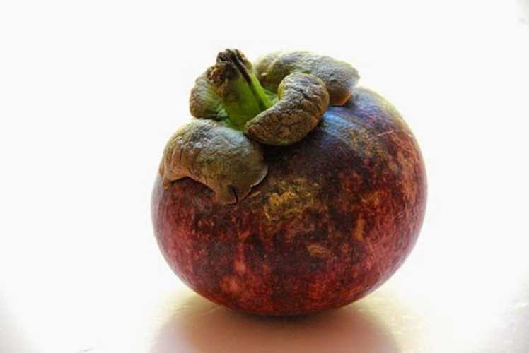 Ngăn ngừa bệnh tim mạch: Măng cụt giúp củng cố hệ thống tuần hoàn qua hiệu năng chống vi thể và chống lão hóa.