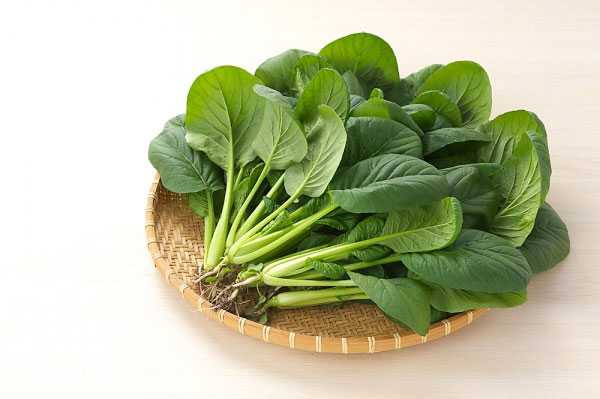 rau-chan-vit-cho-nguoi-tieu-duong