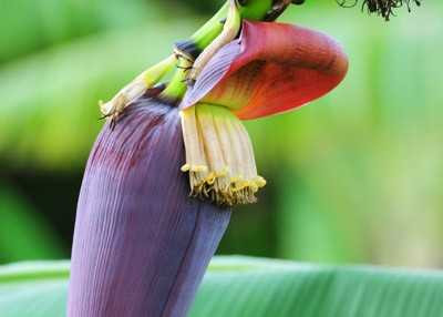 lammoikhongkhingaytetvoinomhoachuoi8