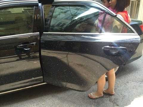 13384698_10201685141006207_1479200283_n