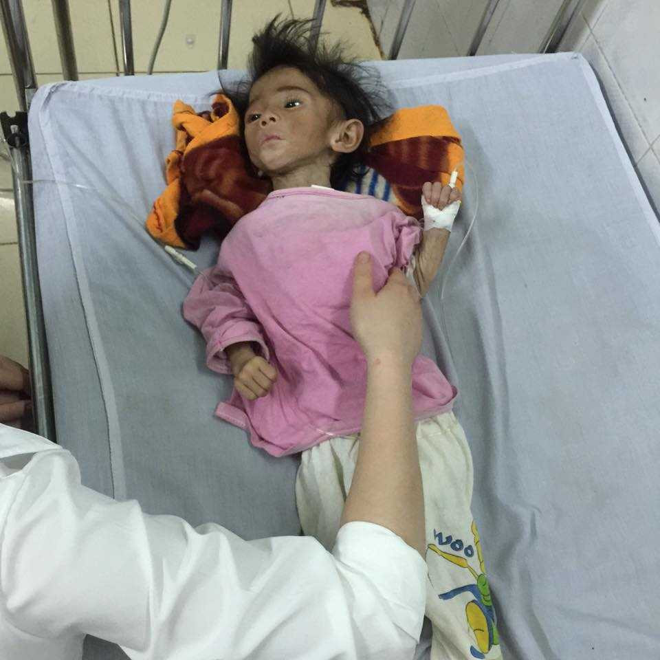 146717379773440-anh-5