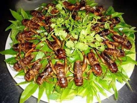 7-mon-ngon-tu-con-trung-hap-dan-6